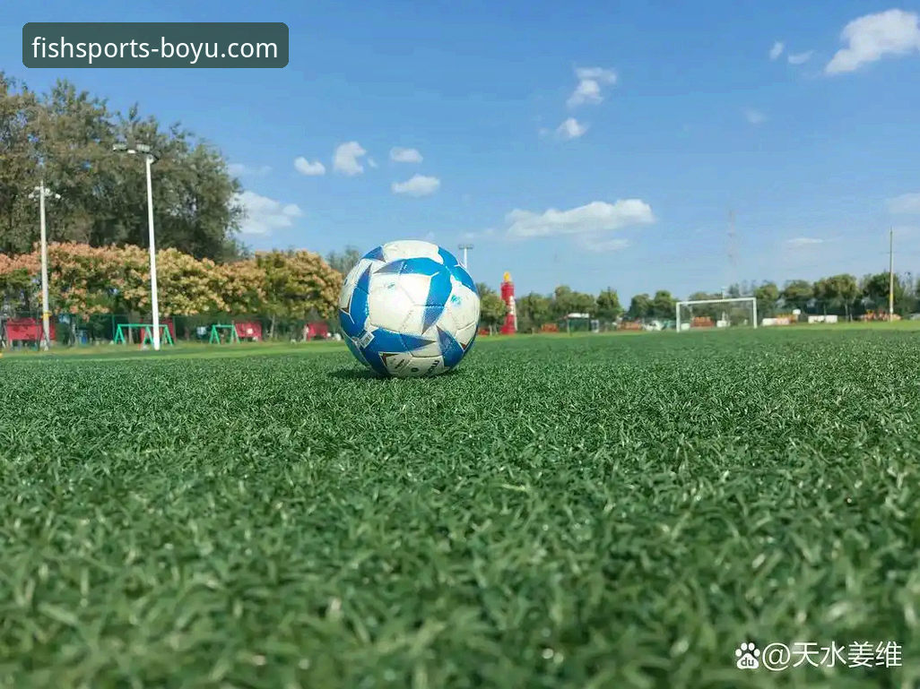 从“金元足球”到法庭审判：一场商业与体育交织的深度评测